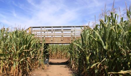 Richardson Adventure Farm: World’s Largest Corn Maze and a Whole Lot More
