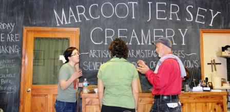 Marcoot Jersey Creamery, Greenville IL: Family Farm Saved by the Cheese