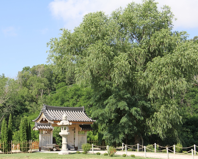 Japanese Sunpu garden gate