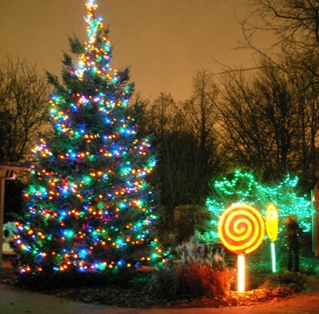 Brookfield Zoo Holiday Magic holiday lights
