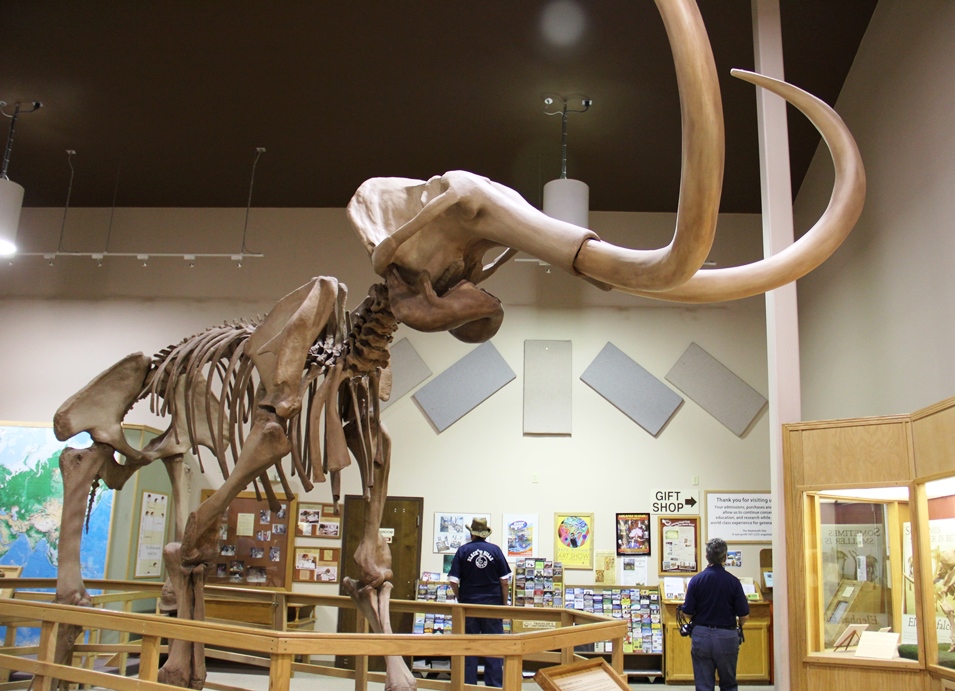 Mammoth Site Museum 1