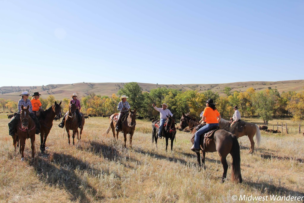 Cowboys and cowgirls at Buffalo Roundup