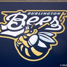 Burlington Bees: An Evening at the Ballpark
