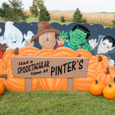 Pinter’s Gardens & Pumpkins: Garden Center, Restaurant and Fall Fun