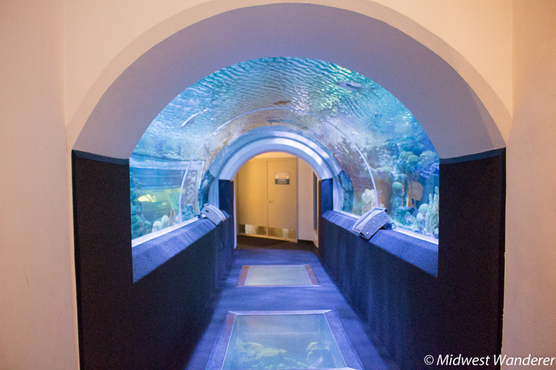 Walk through aquarium tunnel