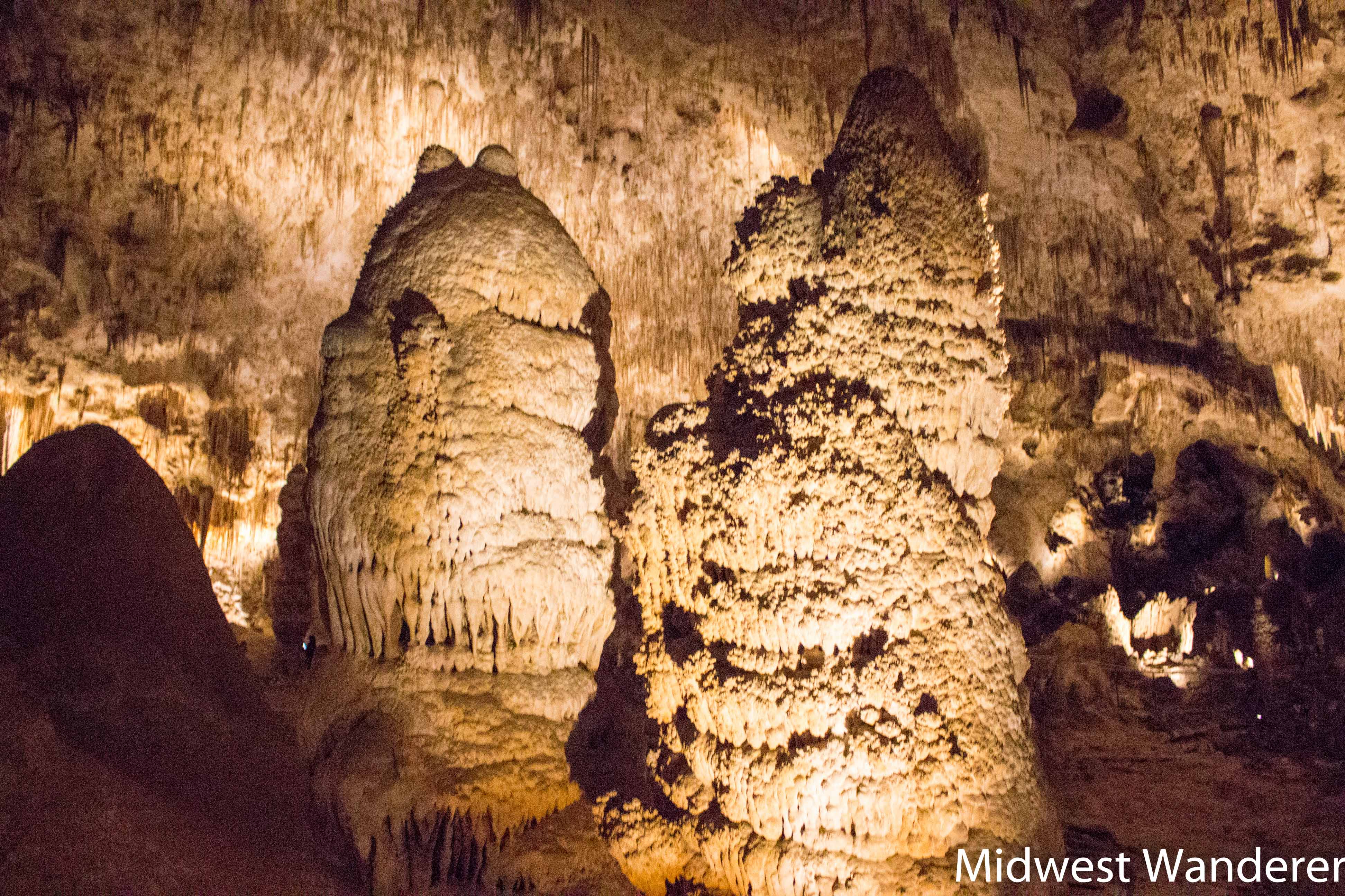 160116_NM_Carlsbad Caverns-4362