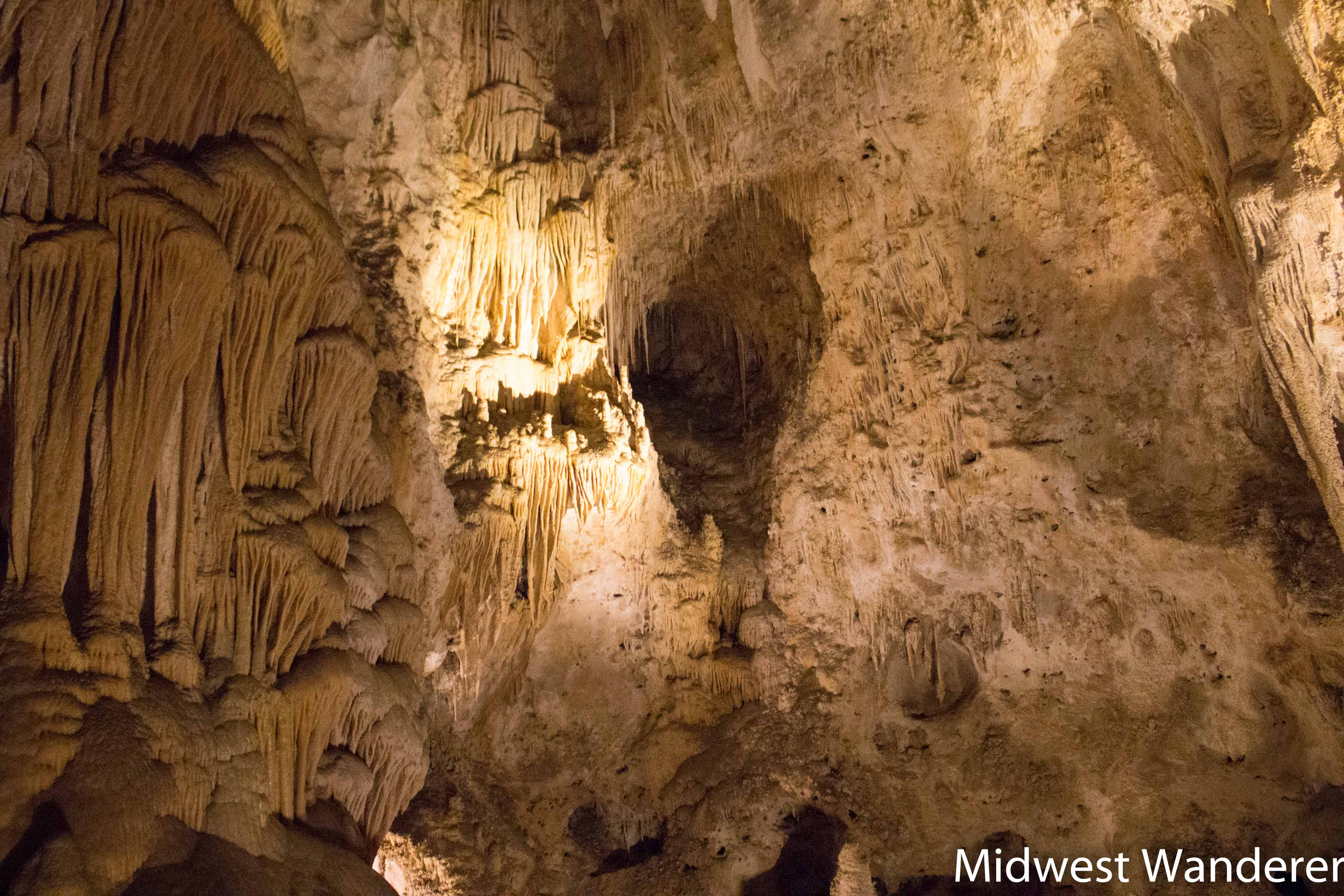 160116_NM_Carlsbad Caverns-4387