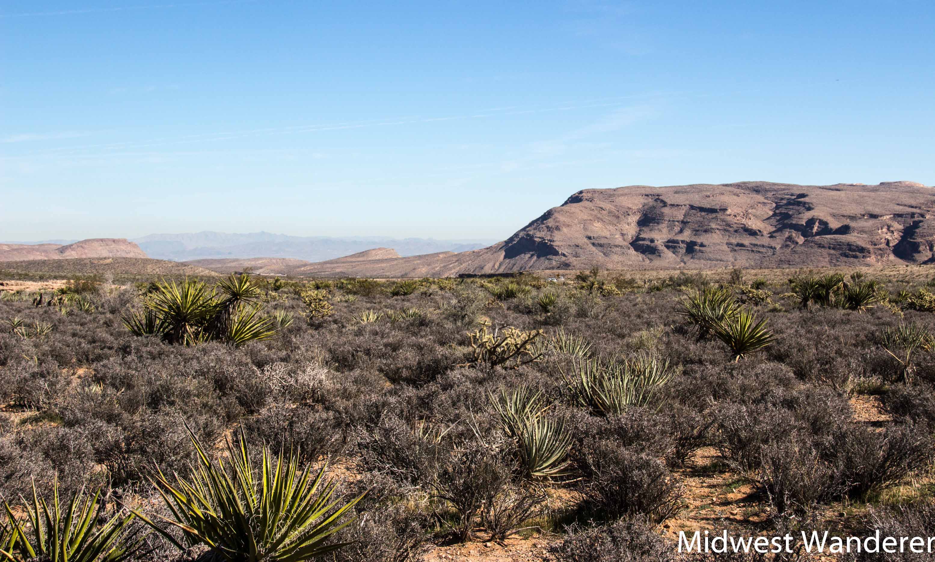 desert terrain at Red Rock Canyon