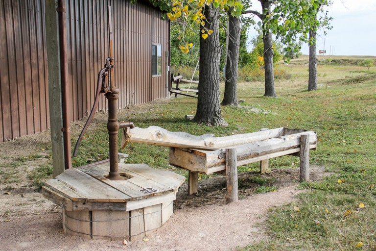 Prairie Homestead Original Sod House and White Prairie Dogs