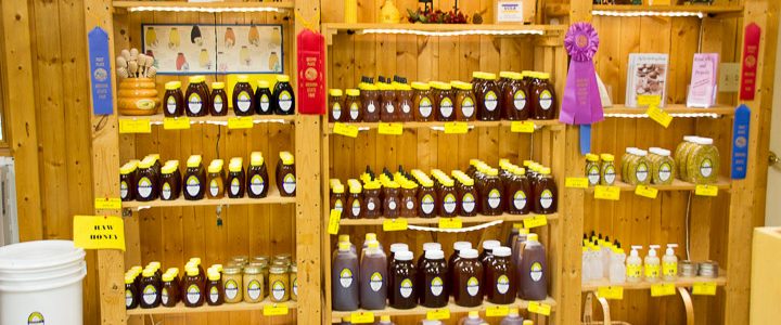 Touring Hunter’s Honey Farm: A Fascinating Look at Beekeeping and Honey Making