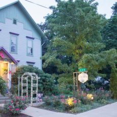 Why You Should Stay at the Murphy Guest House
