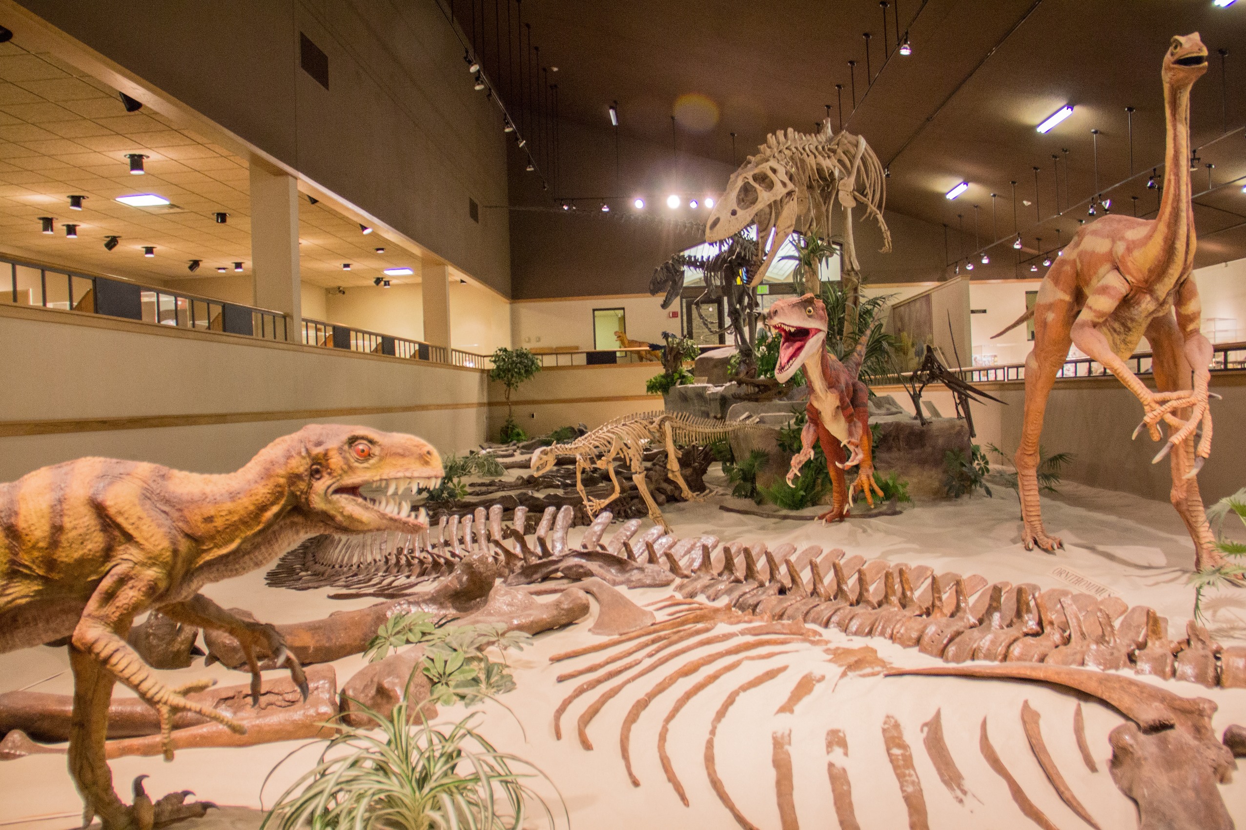 Dickinson Dinosaur Museum