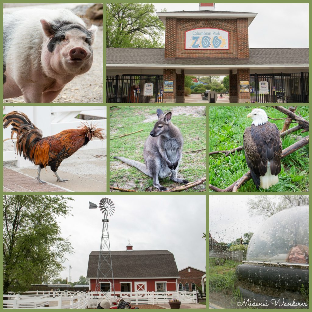 6 Small Midwest Zoos Great for a Short Visit
