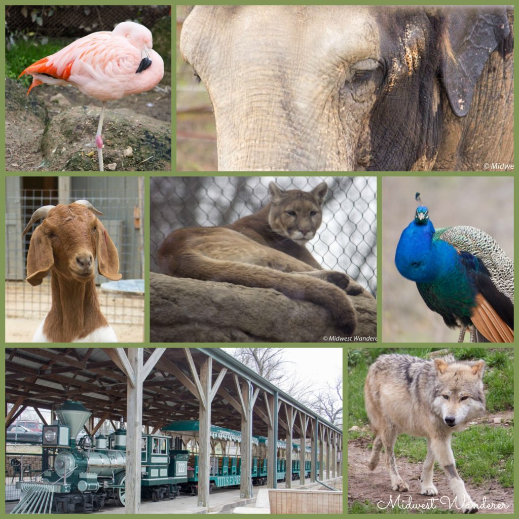 6 Small Midwest Zoos Great for a Short Visit