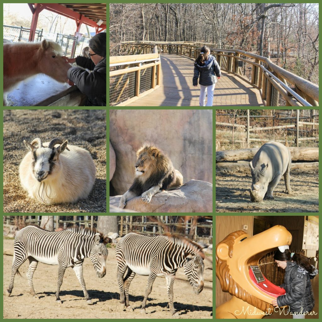 6 Small Midwest Zoos Great for a Short Visit