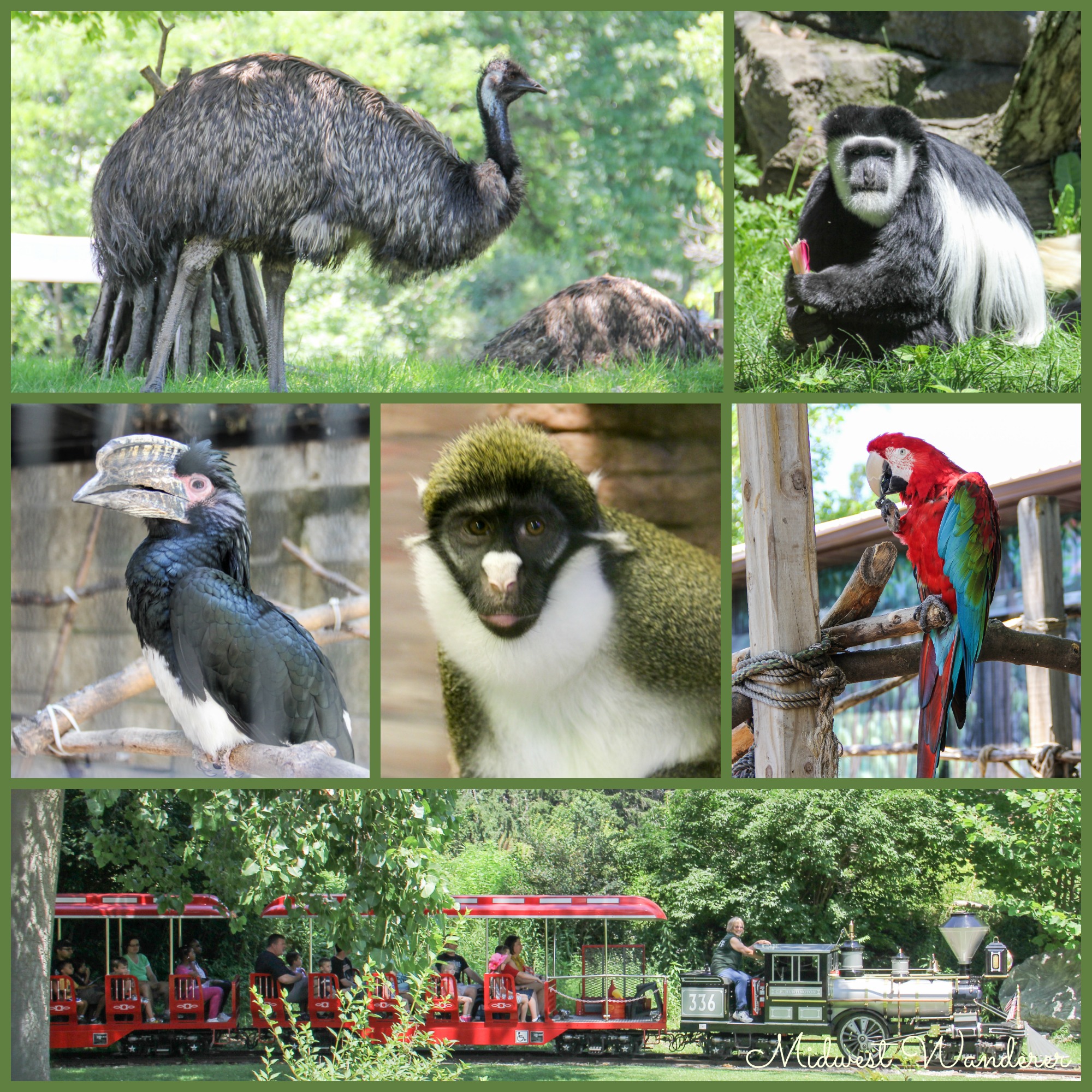 Potawatomi Zoo - Small Midwest Zoos