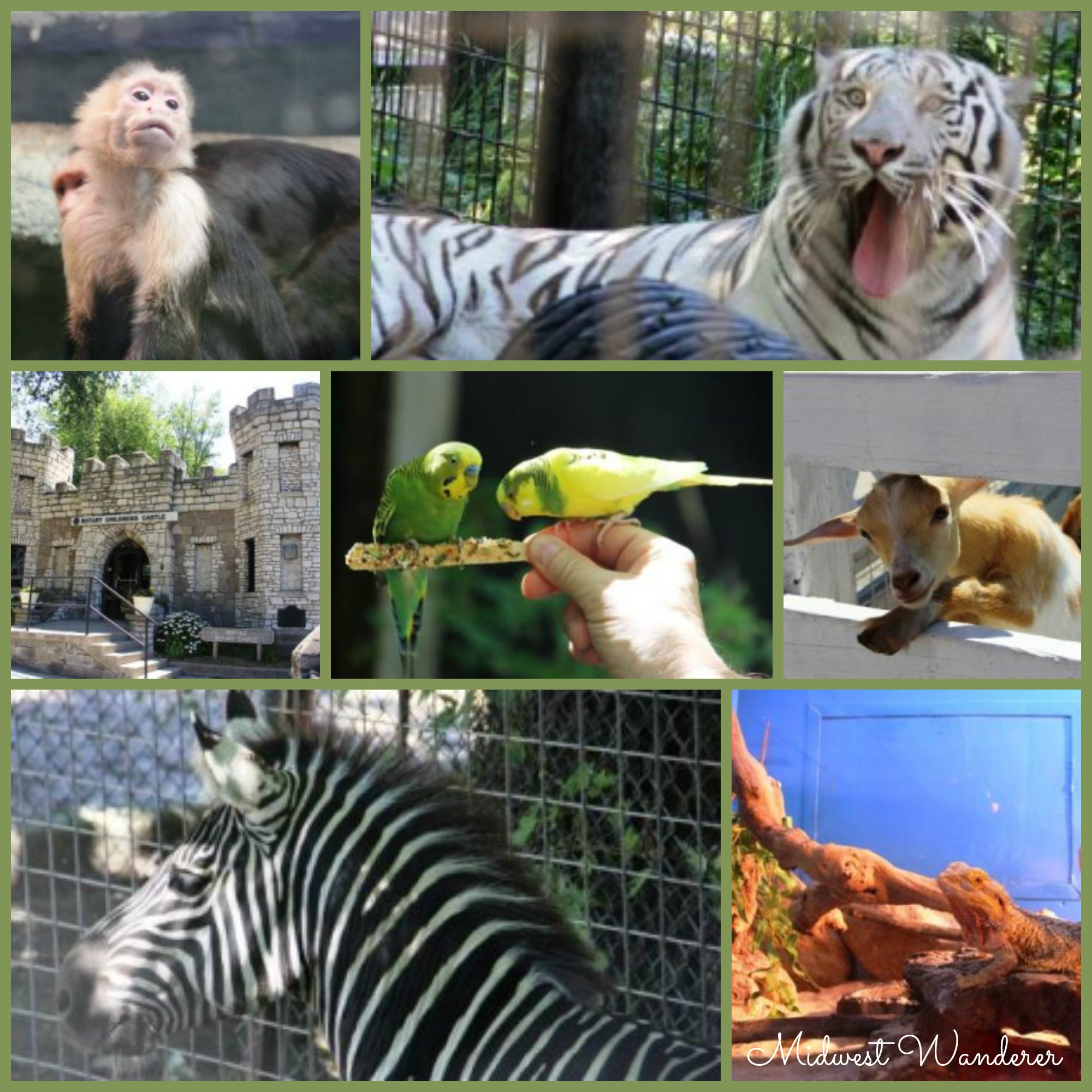 Washington Park Zoo - Small Midwest Zoos