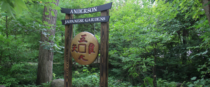 A Stroll Through Anderson Japanese Gardens