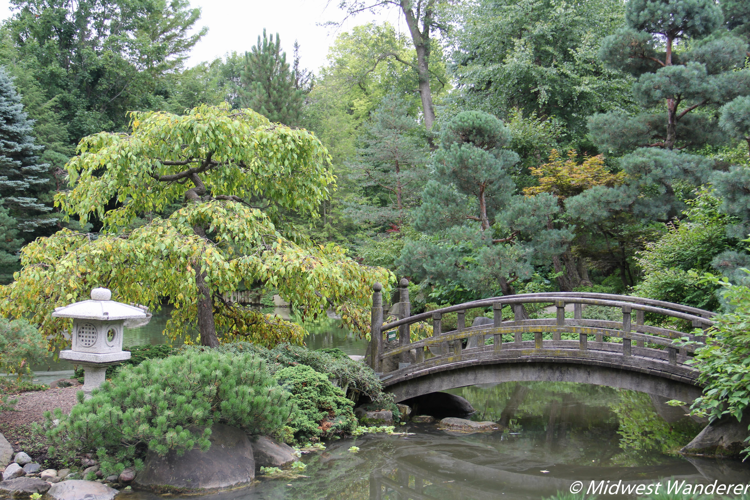 Anderson Japanese Gardens - Bridge and Island