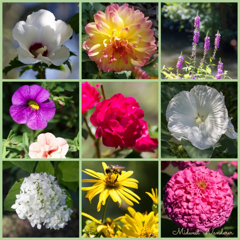 Exploring Friendship Botanic Gardens