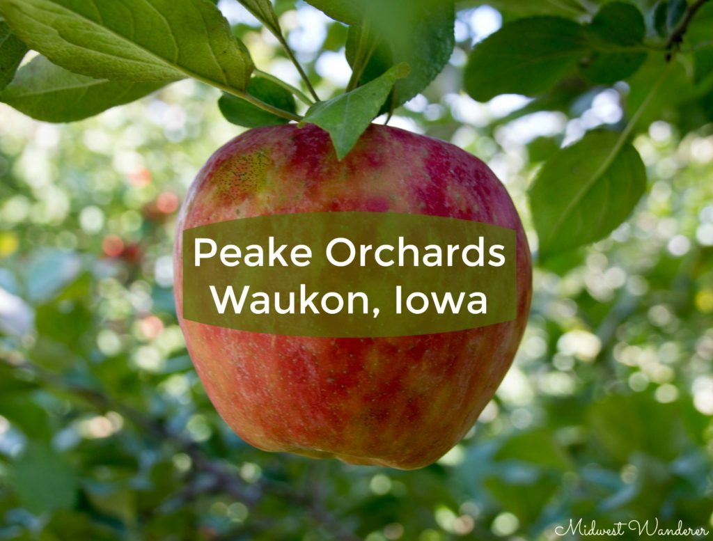 Apple Time at Peake Orchards