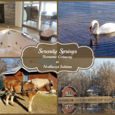Serenity Springs: Amazing Romantic Getaway