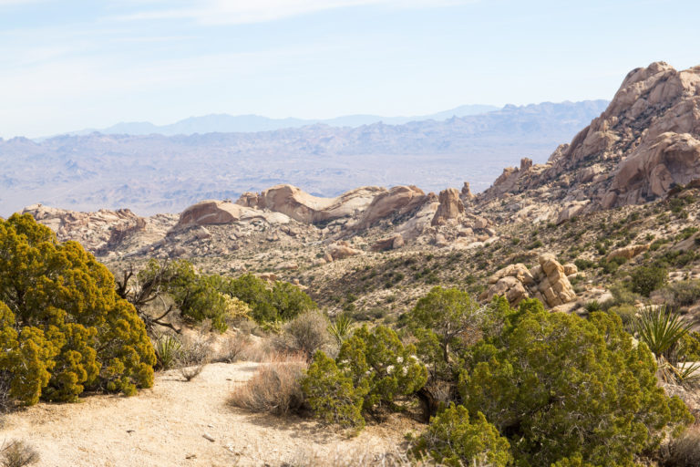 Exploring Christmas Tree Pass and Grapevine Canyon