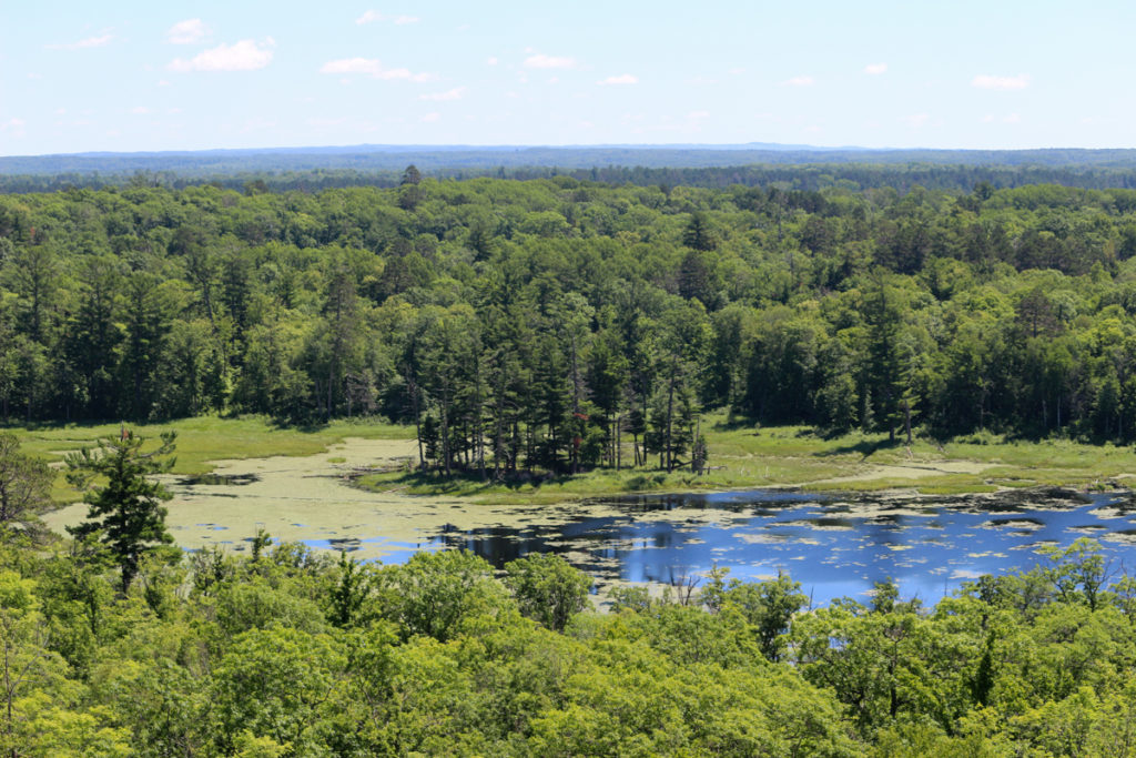 This image has an empty alt attribute; its file name is Itasca-State-Park-10-of-39-1024x683.jpg
