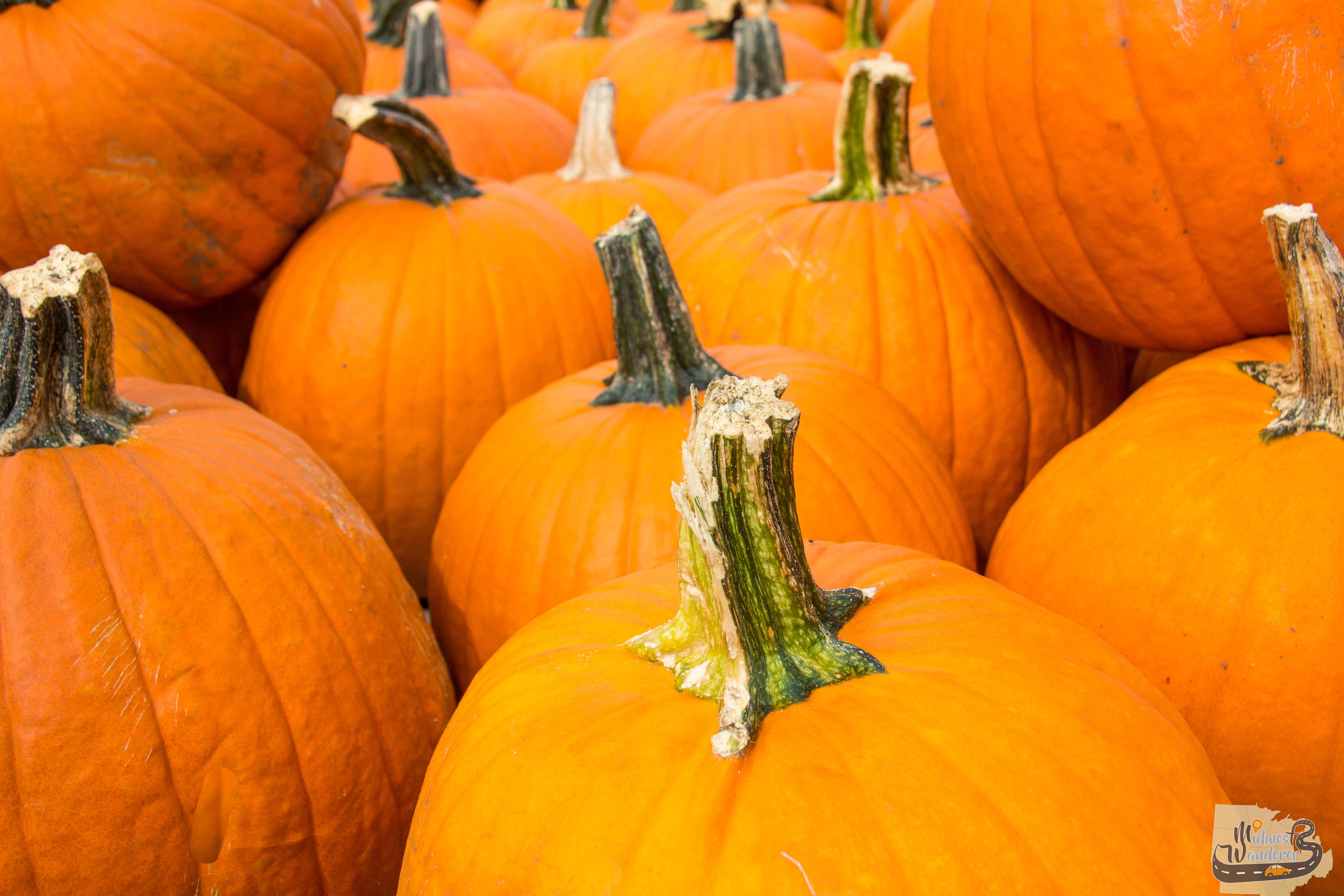 Tour a Victorian Mansion Evansville’s Reitz Home Museum Midwest Wanderer