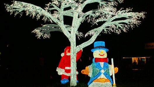 Midwest Zoo Holiday Lights Events