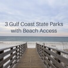 3 Gulf Coast State Park Campgrounds with Beach Access