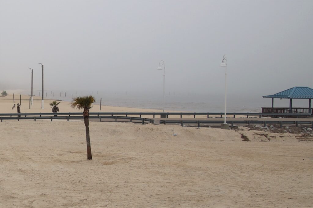 Beach with a pier, palm trees and fog over the water, a few minute drive from Buccaneer State Park
