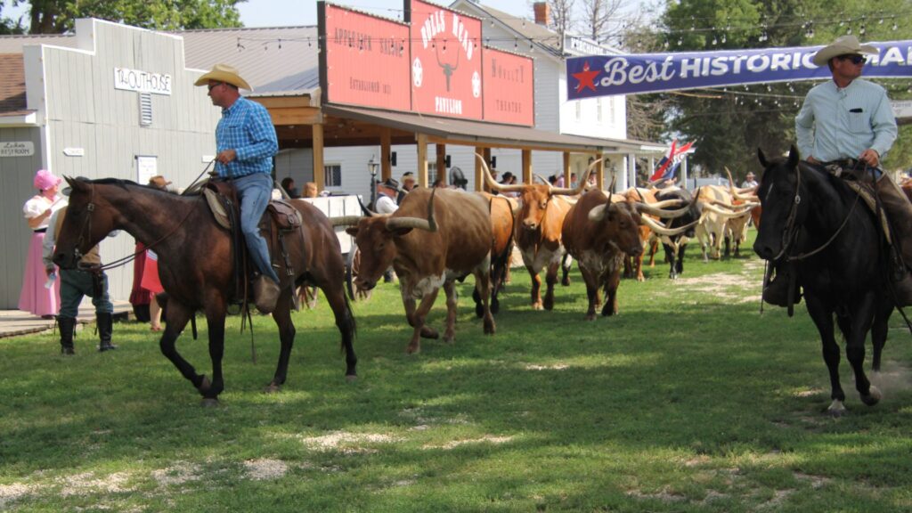 Cattle drive through Old Abilene Town
