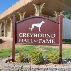 Greyhound Hall of Fame Highlights Greyhound Racing Industry