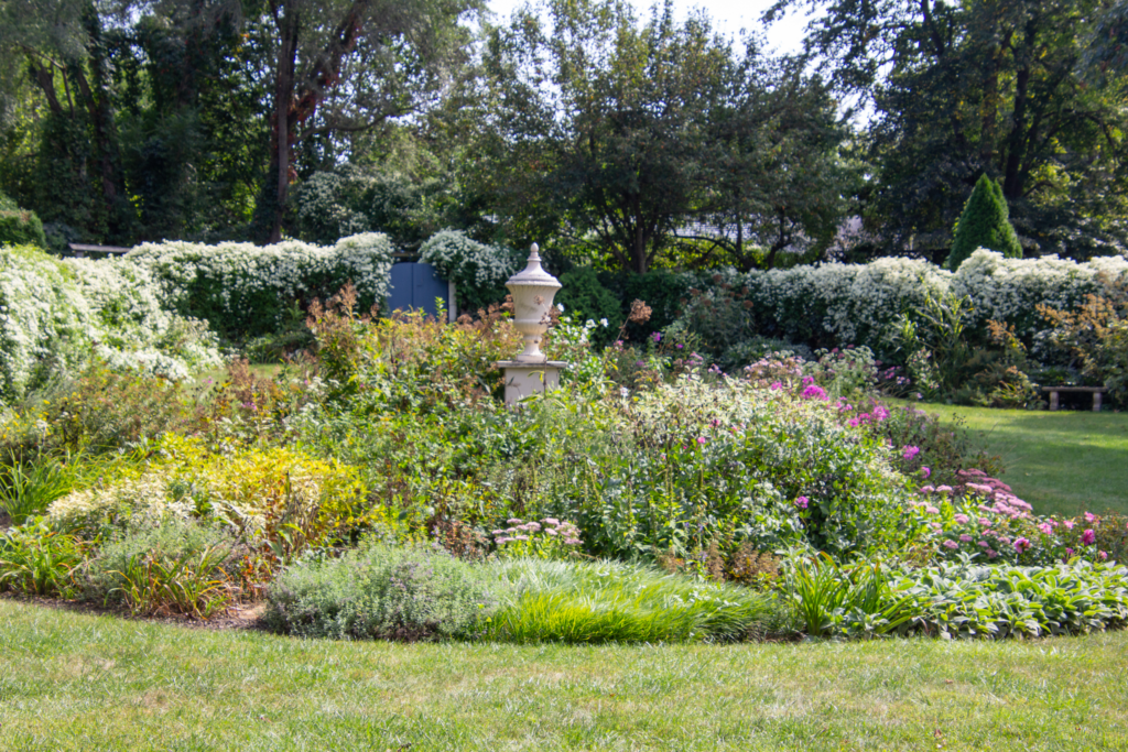 Garden area with flowering plants
