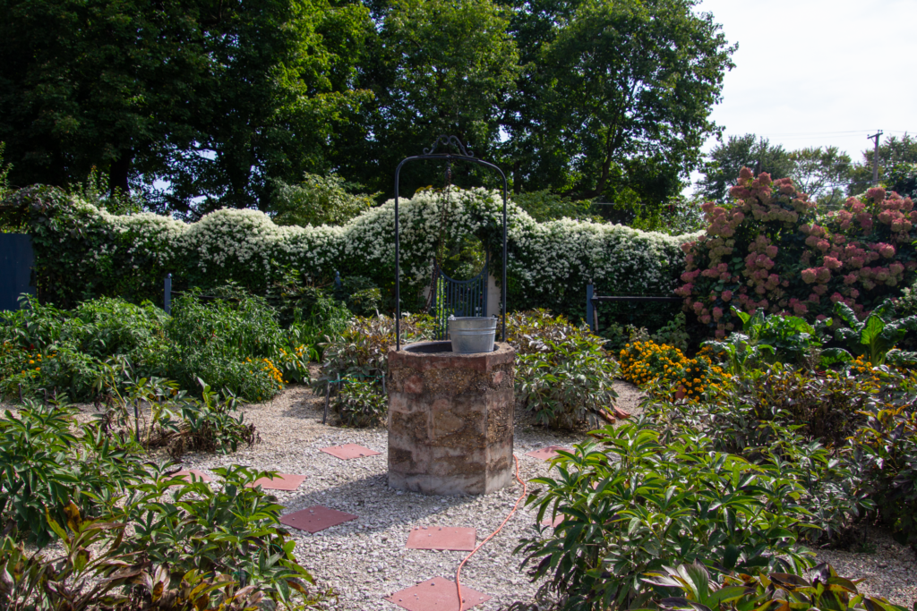 A well in the garden