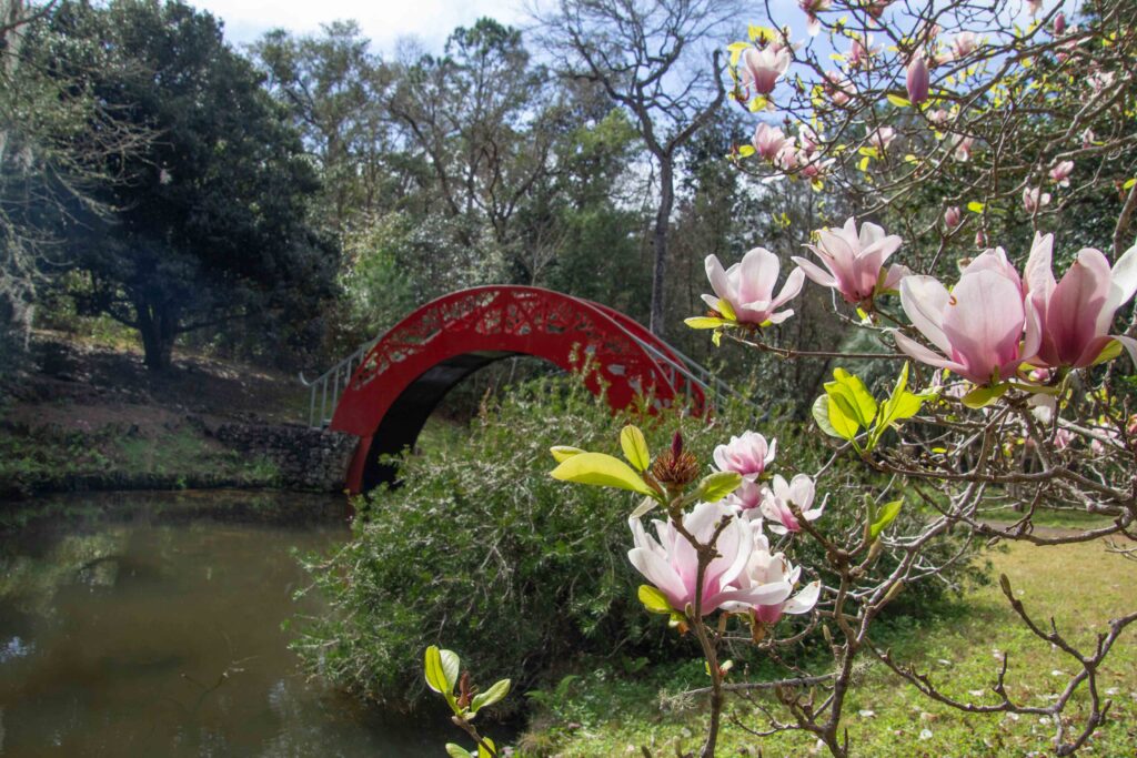 Flowers and bridge in the Japanese garden