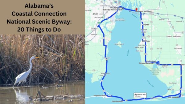 Alabama Coastal Connection National Scenic Byway: 20 Things to Do Travel beside Mobile Bay’s shoreline as you explore historic, natural, and cultural attractions on Alabama’s Coastal Connection National Scenic Byway circle tour.
