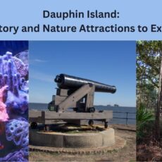 Dauphin Island: 3 History and Nature Attractions to Explore