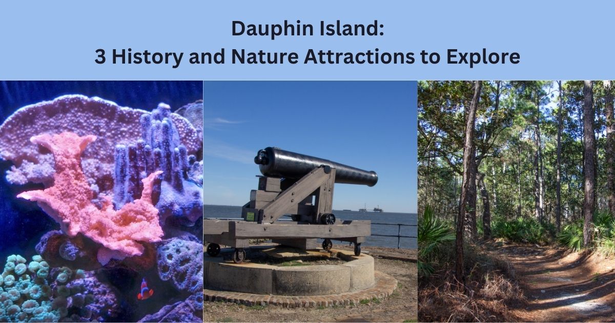 Dauphin Island: Coral from aquarium, gun at Fort Gaines, Audubon Bird Sanctuary