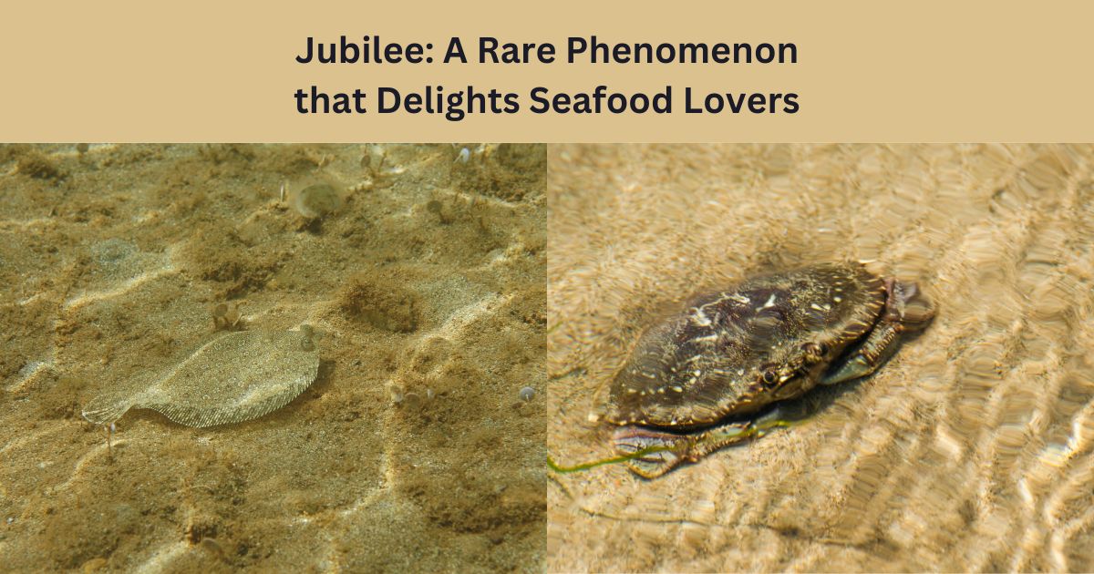 Title of article with photos of a crab and flounder